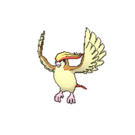 pidgeot smogon|Iba pa.